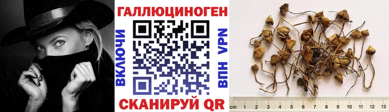 Псилоцибиновые грибы мухоморы Шацк